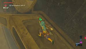 But there is a term to be mentioned here. Breath Of The Wild Walkthrough Vah Naboris Dungeon Zelda Dungeon
