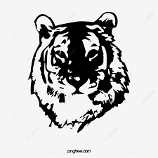 Siaran langsung polah dua harimau bernama hana dan tino itu bertujuan untuk memberikan wawasan tentang satwa dan hiburan kepada petugas merekam video polah harimau sumatera untuk disiarkan secara langsung melalui media sosial di taman margasatwa ragunan, jakarta, minggu (17/5). Gambar Melukis Kepala Harimau Harimau Kepala Steller Png Transparan Clipart Dan File Psd Untuk Unduh Gratis