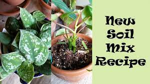 New Soil Mix Recipe Philodendron Soil Mix Diy Soil Mix Soil Philodendron Plant Garden Help