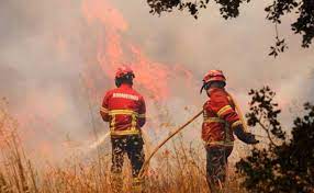 El incendio afecta a dos municipios / postal. El Incendio Del Algarve Luso Avanza Descontrolado Por Quinto Dia Consecutivo Hoy