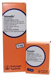 A Series About Heart Failure Vetmedin Vetrxdirect Blogvetrxdirect Blog
