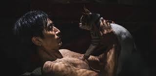 4.6/10 ✅ (23 votes) | release type: Review What Happened To Mr Cha The Reel Bits