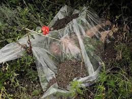 An australian couple who lost three children in the downing of malaysia airlines flight 17 have had a new baby. On The Scene Of The Malaysian Airlines Mh17 Ukraine Crash Graphic Malaysia Airlines Malaysian Airlines Crash