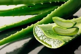 Lr Marque Numero Une Des Produits En Aloe Vera Https Shop Lrworld Com Home Fr Fr Php Qk3kzyg5l 2bmsm3l En 2020 Masque Cheveux Cheveux Gras Masque Cheveux Maison