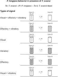 Frequent special offers and discounts up to 70.a wide range of available colours in our catalogue: Visual Vibratory And Olfactory Cues Affect Interactions Between The Red Spider Mite Tetranychus Evansi And Its Predator Phytoseiulus Longipes Springerlink