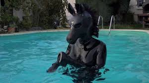 This is not a comprehensive list. Rubber Pony In A Pool Horse Mask Youtube