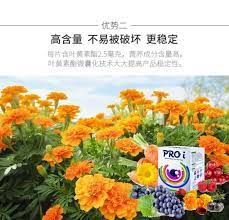 高含量 不易被破坏 更稳定每片含叶黄素酯2 5毫克 营养成分含量高 叶黄素酯微囊化技术 大大提高产品稳定性 proi 眼睛營養品確認過眼神每刻都是真