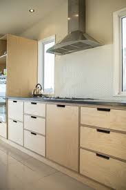 Davies Drive Plywood Kitchen Plywood Kitchen Diy Plywood Cabinet Building Plywood Cabinets In 2020 Modern Kitchen Design Plywood Kitchen Diy Kitchen Cabinets