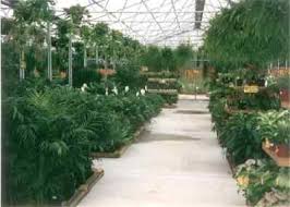 About green escapes nursery inc: View Our Gallery Louisiana Nursery