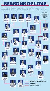 greys anatomy visual guide to the best relationships and