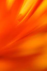 Pin By Lucy On Color The World Bright Hot Orange Aesthetic Orange Painting Orange Wallpaper