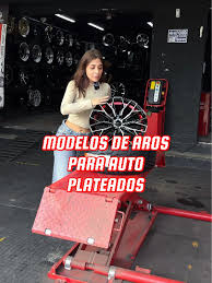 Image result for Gris Beige 1989 ARO