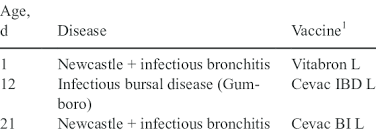 Broiler Vaccination Program Download Table