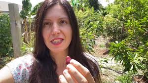 Savannah cherry 🍒 taste test