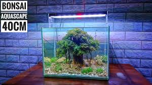 161 Membuat Bonsai Mini Untuk Aquascape Model Beringin Di 2020 Aquascaping Bonsai Tanaman