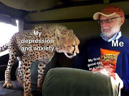 Pin By Timmy Tim On Misc Personal Funny Animals Funny Cat Pictures Funny Cats