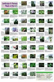 Landscape Plants Landscape Garden Types Types Of Plants