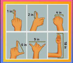 Introducing: Fingering Methods. : r/meme