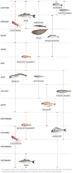 Decouvrez Les Especes De Poissons Vendues Au Port De Capbreton