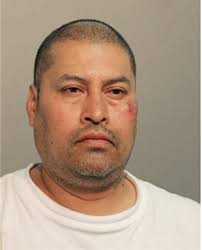 ᐅ Illinois Criminal Records 2009-2025