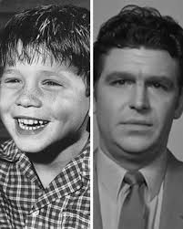 Andy Griffith: A TV Icon From Mayberry To Matlock