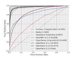 False positive — false positive/negative/ phrase an incorrect result of a scientific test one of the biggest complaints about current tests is that they give false positive results. What Is The Name Of This Chart Showing False And True Positive Rates And How Is It Generated Cross Validated