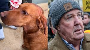 Jeremy Clarkson's dog left covered in blood as Lisa Hogan issues statement