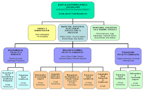 Understand The Organizational Structure Of Att Inc A Us