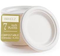 Amazon.com: brheez 7 in. Disposable Plates Paper Plates Alternative  Compostable Plates Heavy Duty [Pack of 110] Eco-Friendly 100% Natural  Sugarcane ...