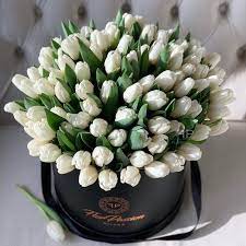 È il fiore perfetto per esprimere un'autentica dichiarazione d'amore. Tulipani Bianchi Consegna Fiori Milano Florpassion