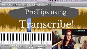 It often occurs that a single score or grade by different tuned instruments are played together. Transcribe Tutorial My Favorite Transcribing Software Explained Plus Best Key Commands Ari S Bass Blog