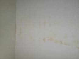 Salpeter oder schimmel an der wand? Salpeter Oder Schimmel An Der Wand Mit Bildern Gesundheit Wohnung Haus