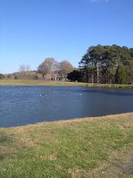 White Oak Park Dallas Ga My Favorite Place To Walk With Walter Landscape Favorite Places Trip