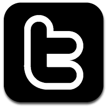 Image result for twitter logo black