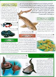 موسوعة سؤال وجواب عالم الطبيعة pdf books download islamic art animals