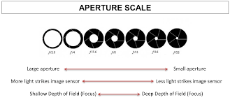 Best Camera Settings For Landscape Images Basic Settings