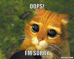 15 Super Funny Ways To Say Sorry Durofy Business Technology Entertainment And Lifestyle Magazine