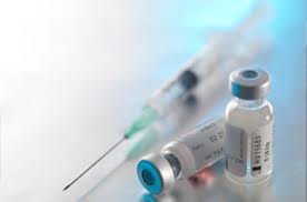 Buying or renting a travel crate. Pet Vaccinations In Miami Ferreira Animal Hospital Veterinarian