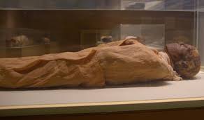 اكتشف أجمل ما في المملكة العربية السعودية. Egypt Why 3 000 Year Old Pharaoh S Body Scan Stunned Archaeologists Amazing World News Express Co Uk