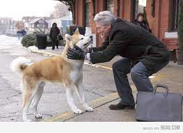If You Know Who They Are You Probably Cried Japanese Dogs Dog Movies A Dog S Tale