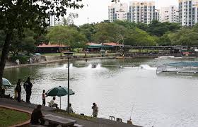 Land price s$840.86 psf ppr. 10 Signs You Grew Up In Pasir Ris Coconuts Singapore