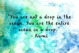 Quotes About Drops In The Ocean 71 Quotes