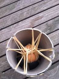 50 Egg Drop Ideas Egg Drop Egg Drop Project Egg Drop Contest