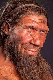 We did not find results for: What Do We Know About The Social Behavior Of Denisovans Quora
