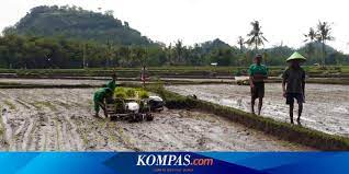 Kualiti hidup keluarga maju dan tingkatkan hasil & mutu komoditi berpotensi. Kinerja Sektor Pertanian Wujud Implementasi Nawacita Halaman All Kompas Com