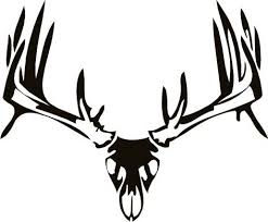 Black And White Deer Skull Deer Skull Wall Decal 2 Deer Skull Tattoos Deer Skulls Buck Antlers