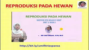 Materi ipa kelas 9 semester 1 bab 2. Materi Ipa Bab 2 Kelas 9 Semester 1