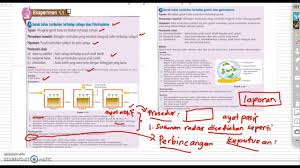 We did not find results for: Cara Menulis Laporan Amali Eksperimen 1 1 Sains Tingkatan 3 Youtube