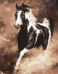 With over 200 designs, you'll find something here that is perfect for your next cross stitch project. Horse Cross Stitch Patterns Browse Patterns
