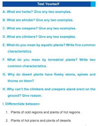 Grade 4 Science Lesson 6 Plants Around Us Primary Science Science Lessons 6th Grade Science Science